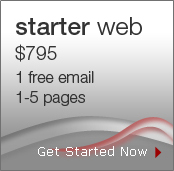 Starter Web Design Package