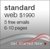 Standard Web Design Package