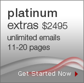 Platinum Web Design Package